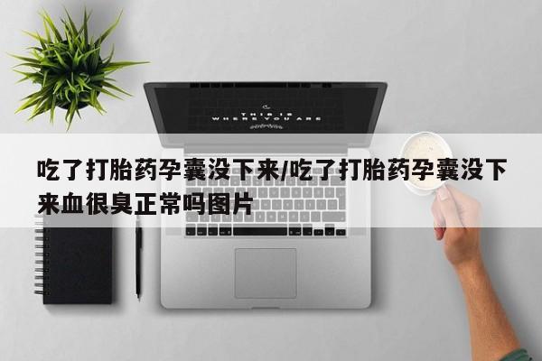 流产药微信吃了打胎药孕囊没下来/吃了打胎药孕囊没下来血很臭正常吗图片
