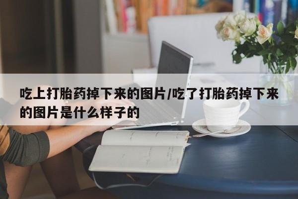 流产药微信吃上打胎药掉下来的图片/吃了打胎药掉下来的图片是什么样子的
